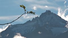 FÜR OTHMAR - die Drei Schwestern in Vorarlberg (2052m)