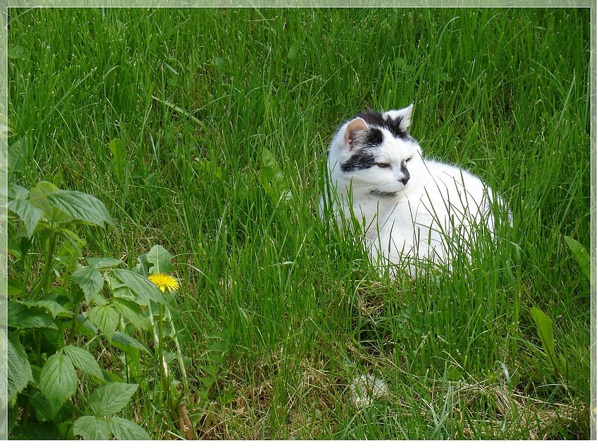 Für Petra