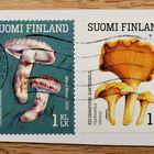 für Pilz-, Finnland-, und Briefmarkenfreundinnen