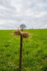 für Schafe verboten