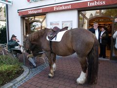 für Siegrun zum ermuntern