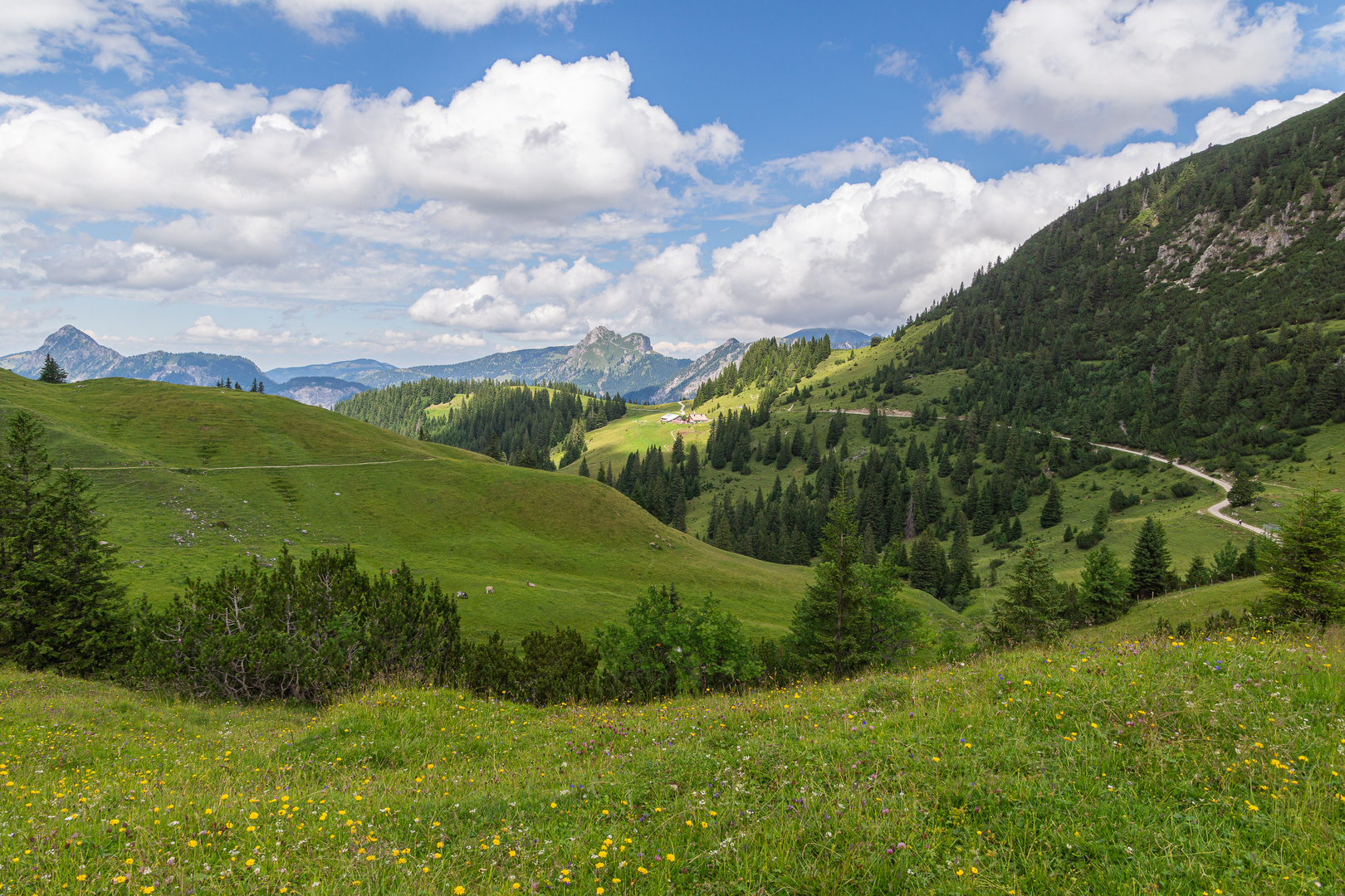 Für solche Aussichten lohnt das Bergwandern!