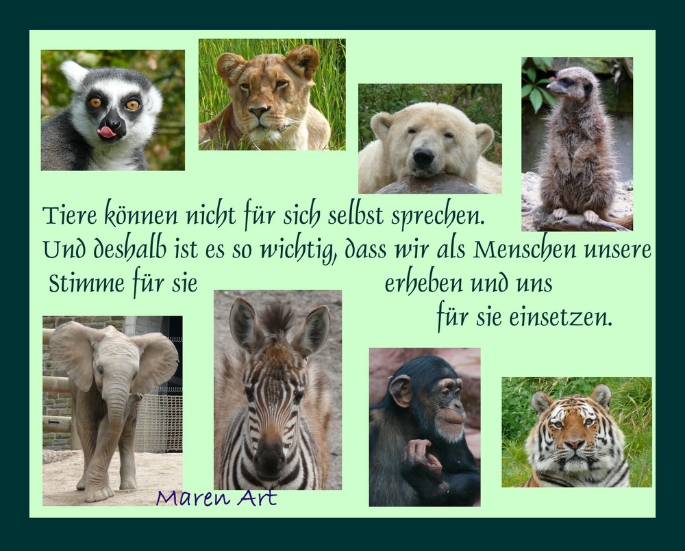 Für Tiere einsetzten