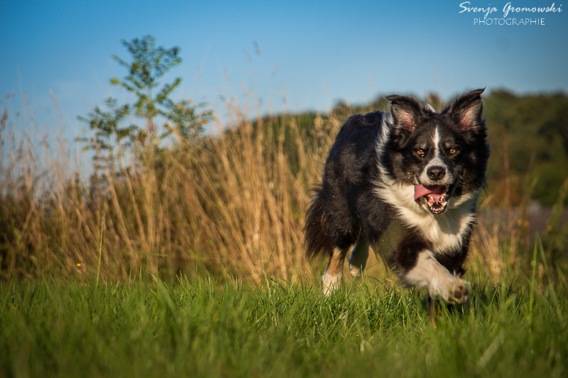 Für Tipps zur bewegungsfotografie bin ich dankbar :)