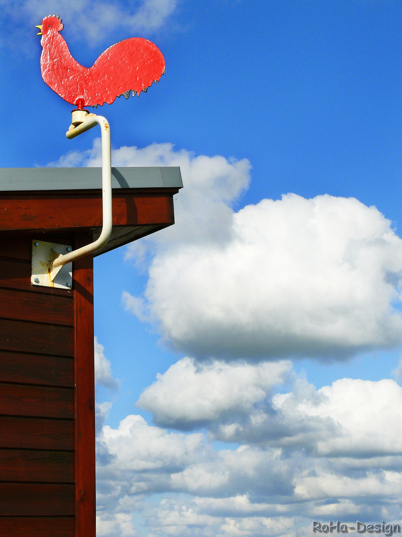 ...für Wind und Wetter...