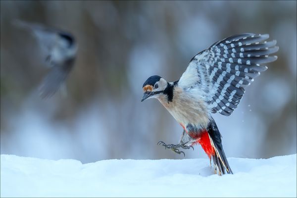 Für zwei Tage viel Schnee im Baselbiet