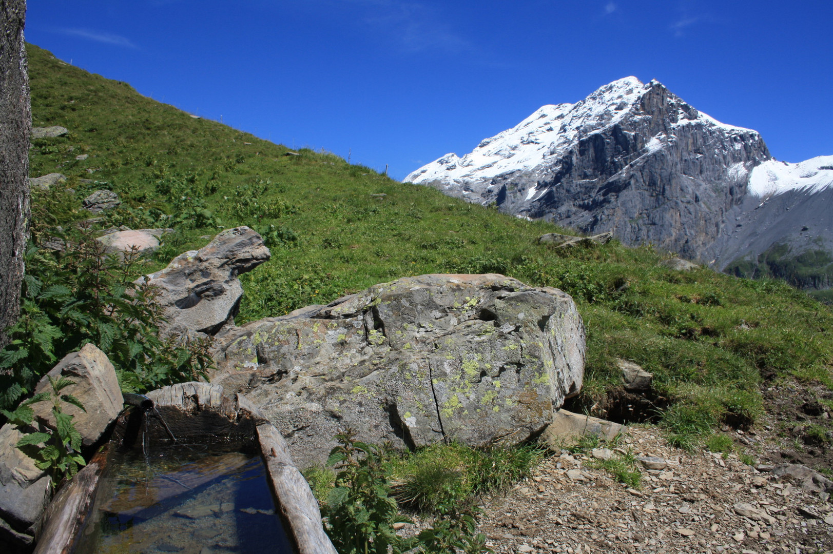 Fürenalp