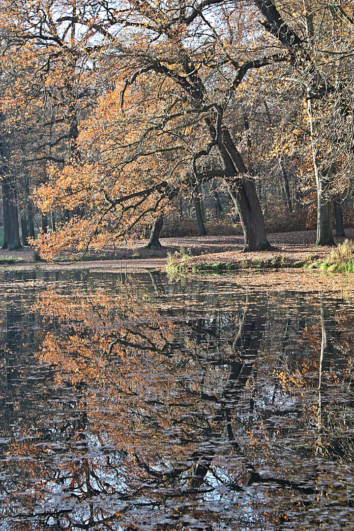 Fürst Pückler Park