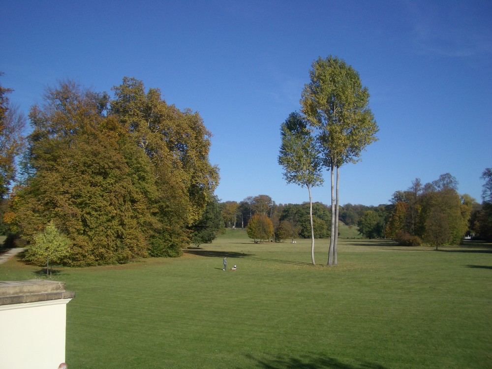 Fürst Pückler Park Bad Muskau Foto &amp; Bild landschaft