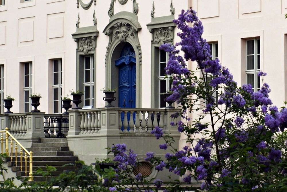 FürstPücklerPark Branitz 8/Schloss Foto & Bild