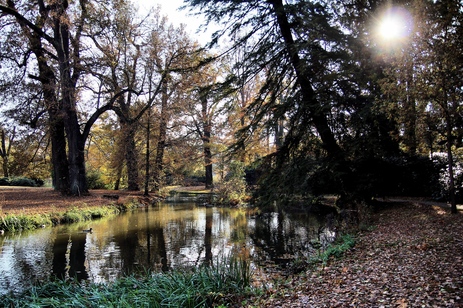 Fürst Pückler Park