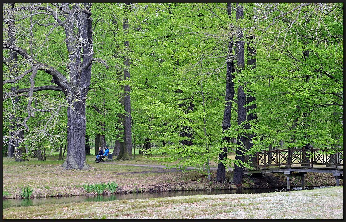 Fürst-Pückler-Park Cottbus