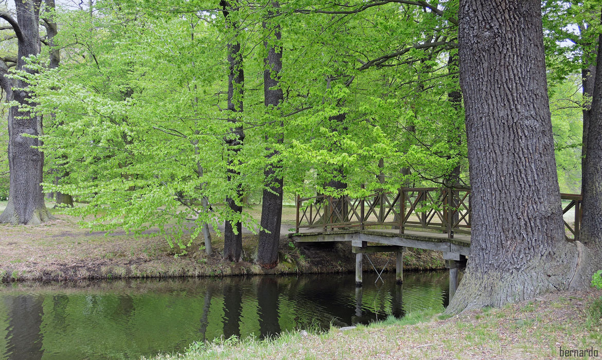 Fürst Pücklers Schlosspark bei Cottbus