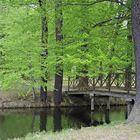 Fürst Pücklers Schlosspark bei Cottbus