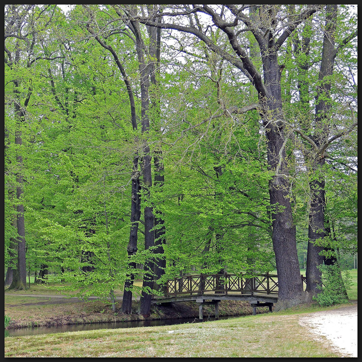 Fürst Pücklers Schlosspark bei Cottbuss