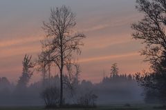 Fürstenbrunner Morgen