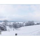 Fürstengrund im Wintermantel