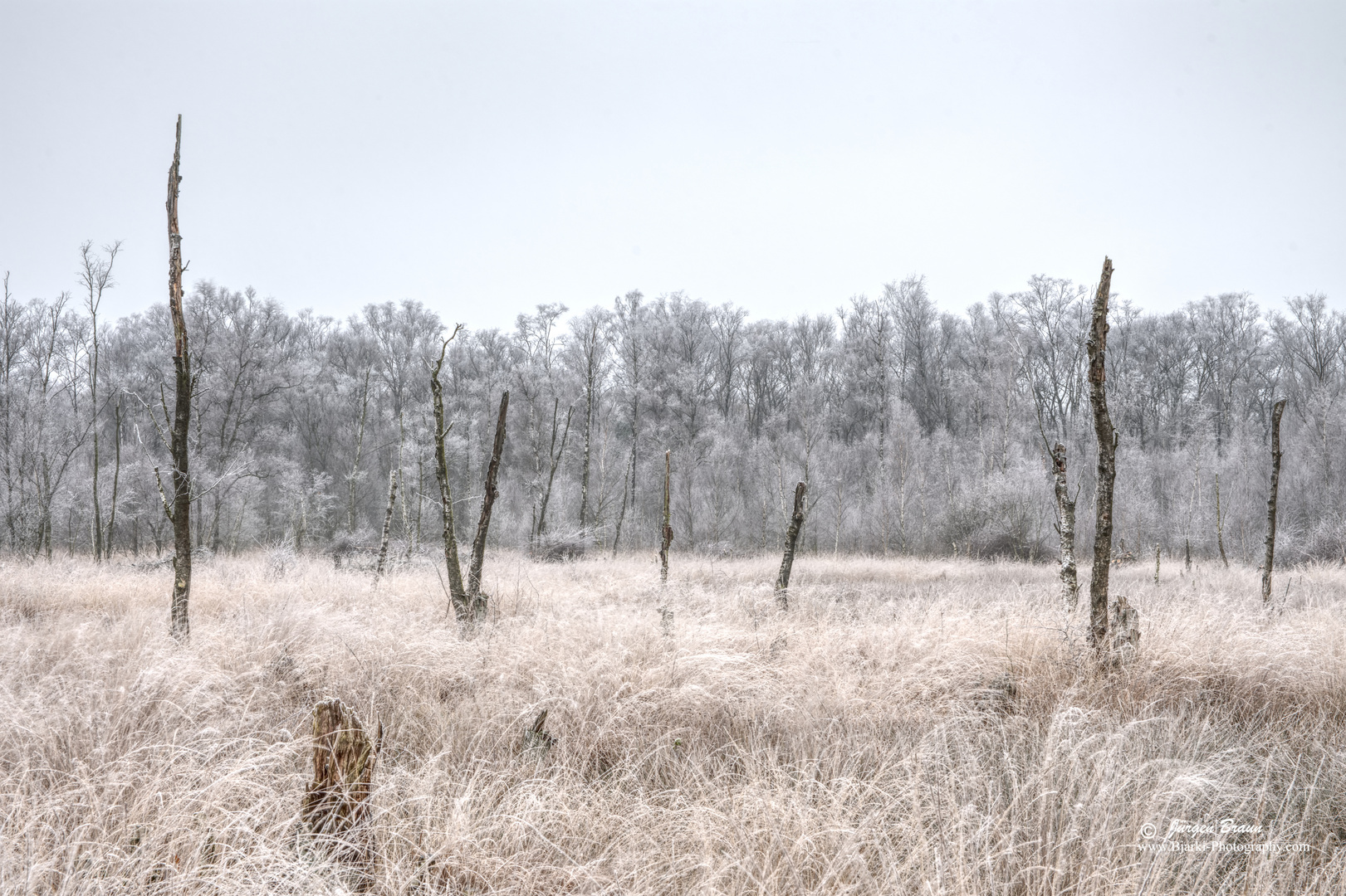 Fürstenkuhle Winterstimmung