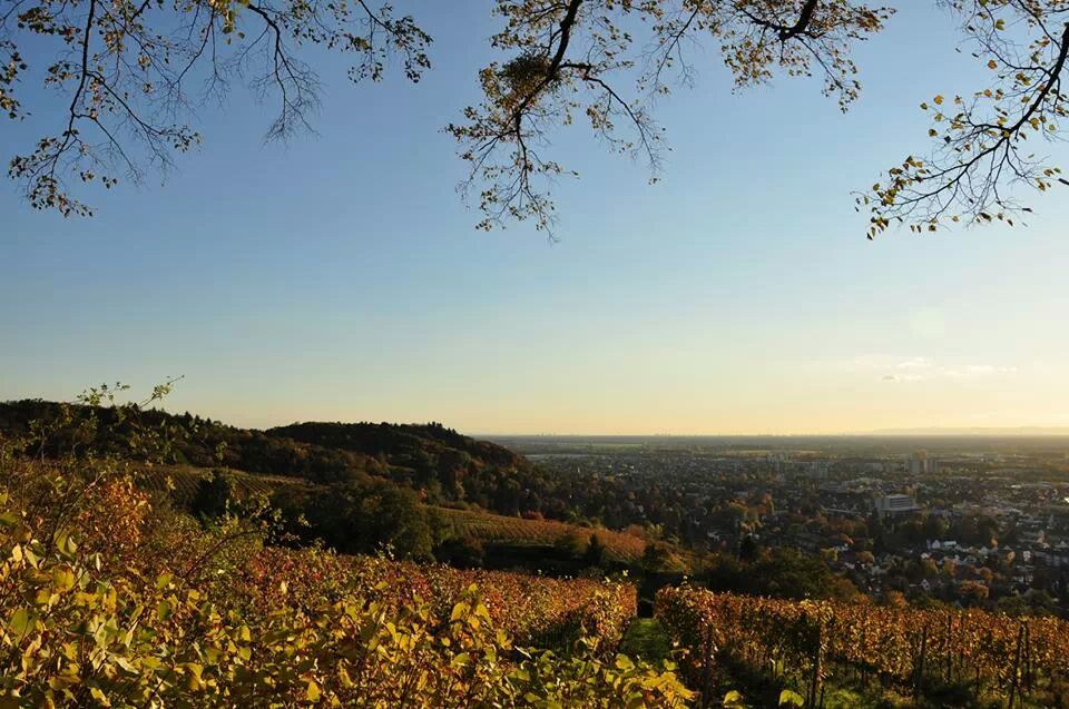 Fürstenlager mit Blick auf Bensheim