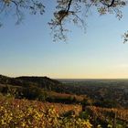 Fürstenlager mit Blick auf Bensheim