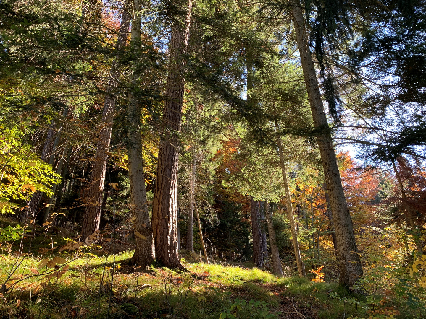 FürstenwaldChur