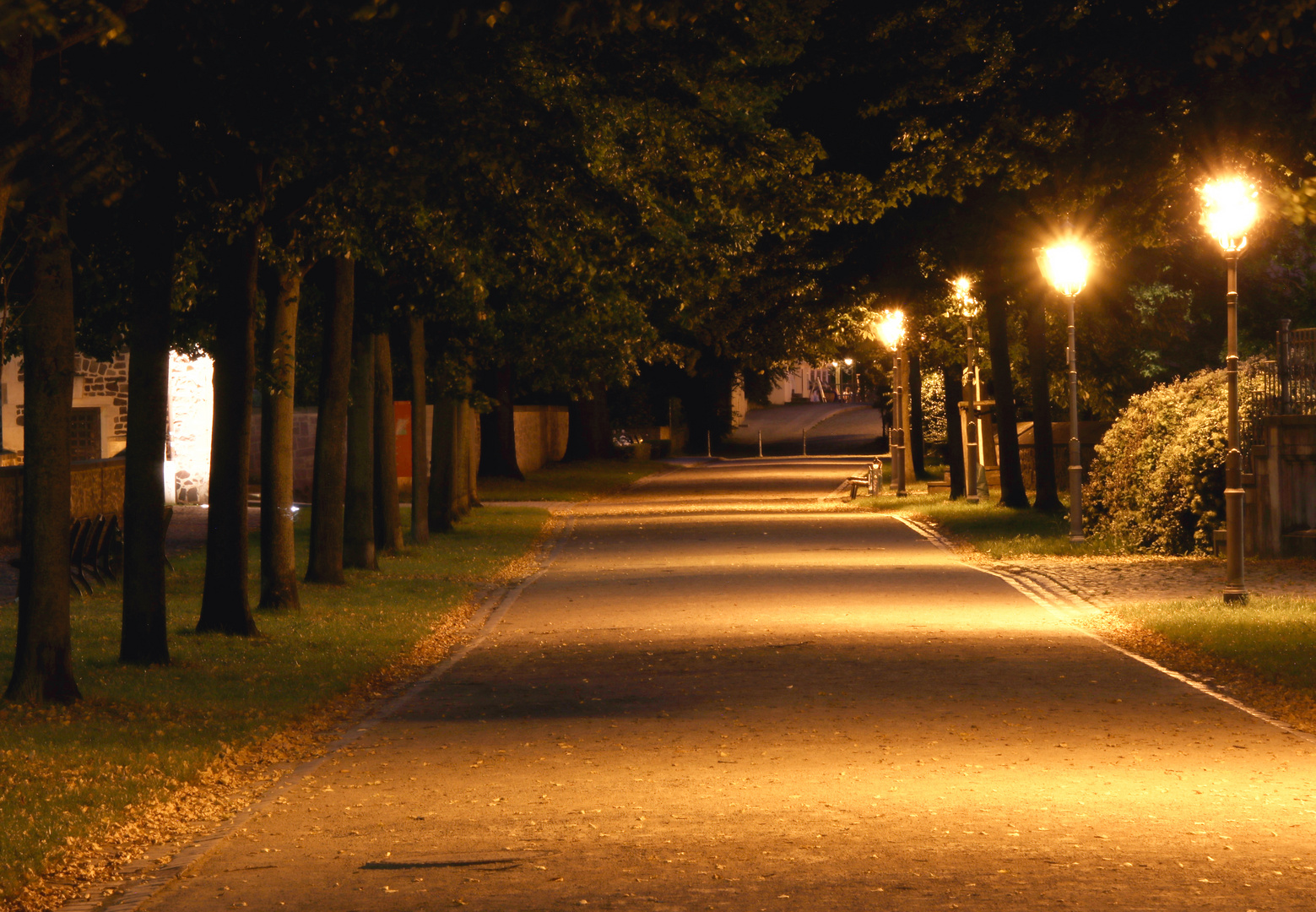 Fürstenwall bei Nacht.