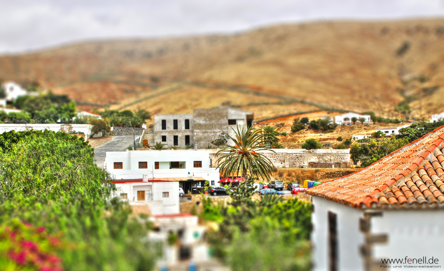 fuerte ventura