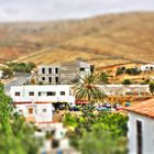 fuerte ventura