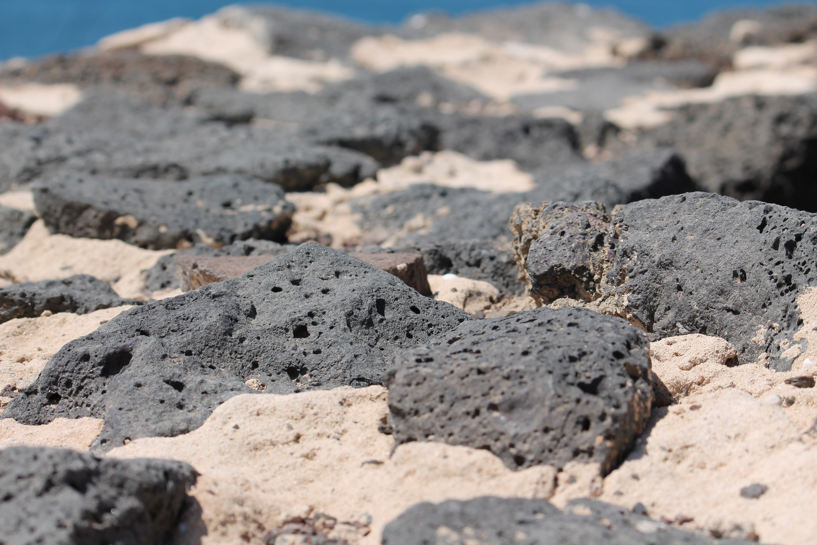 Fuerte Ventura ~ Sommer 2013