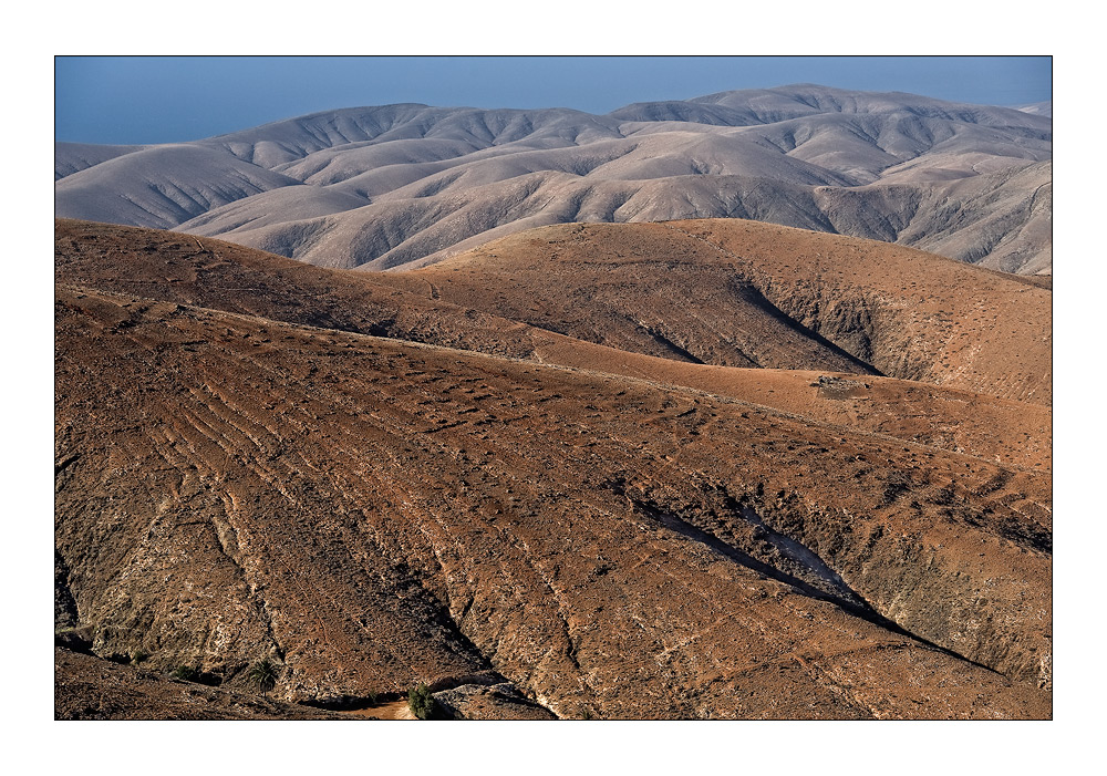 Fuerteventura 1