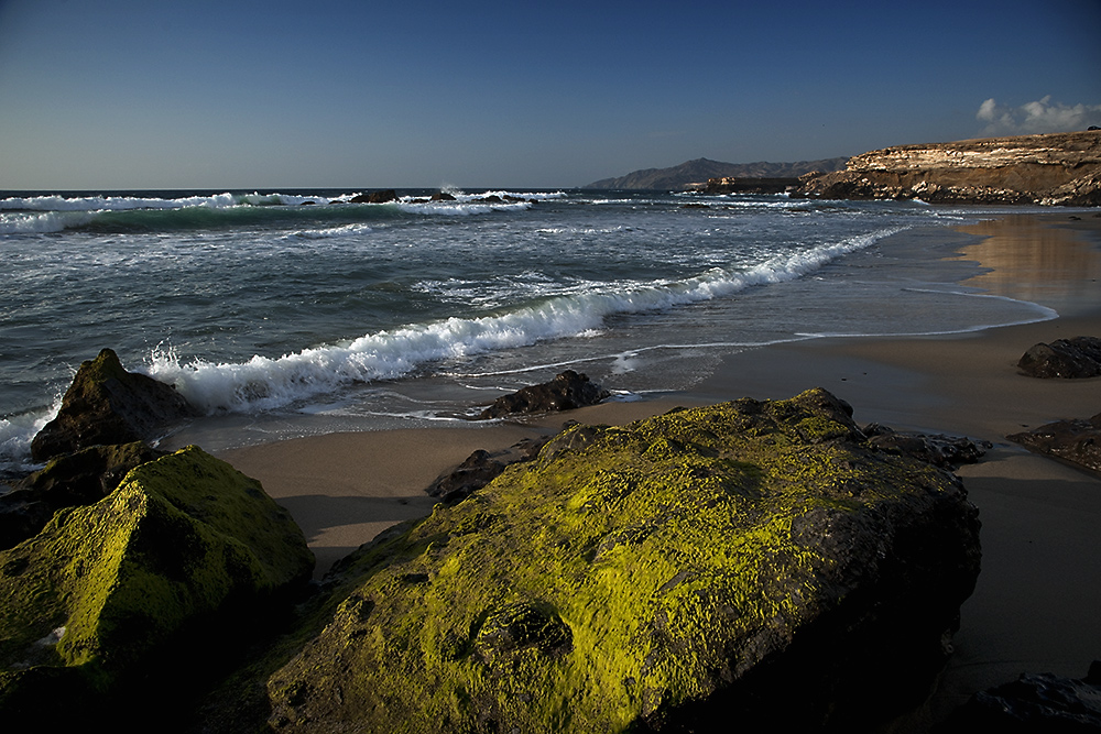 --- Fuerteventura ---