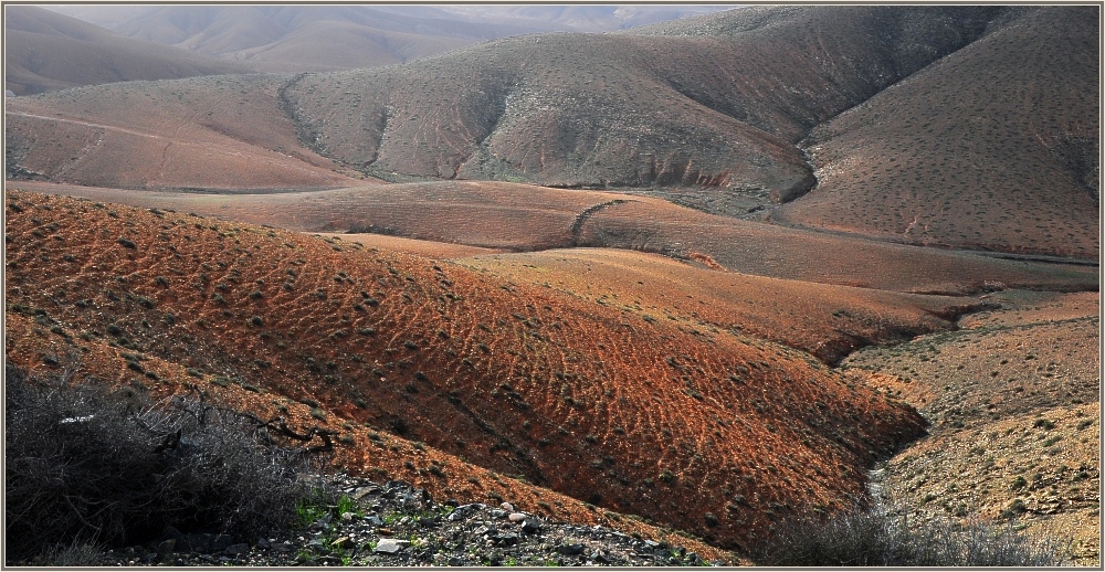 Fuerteventura 16