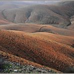 Fuerteventura 16