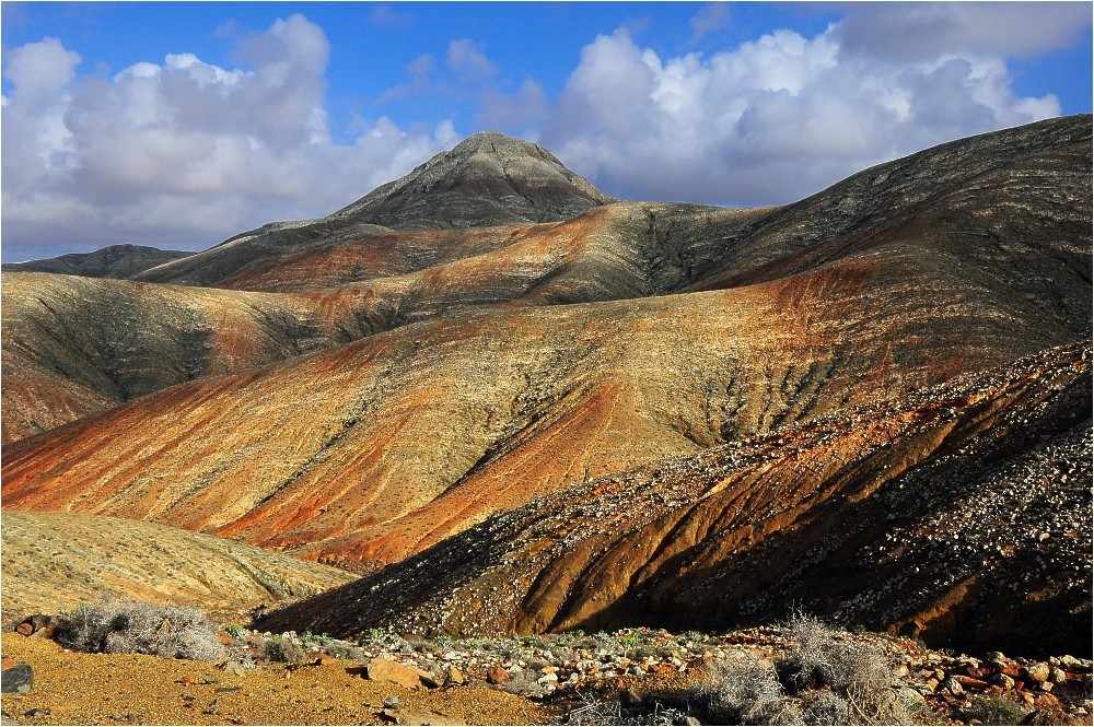 Fuerteventura 17