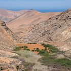 Fuerteventura (2)