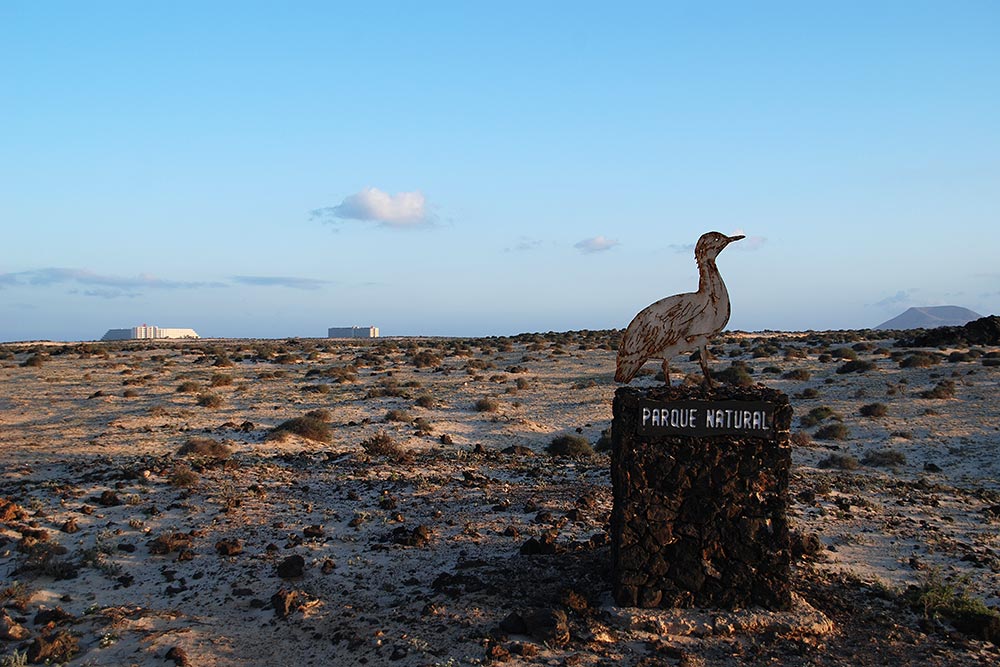 Fuerteventura 2008 III