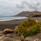 - Fuerteventura 2016-11 - 
