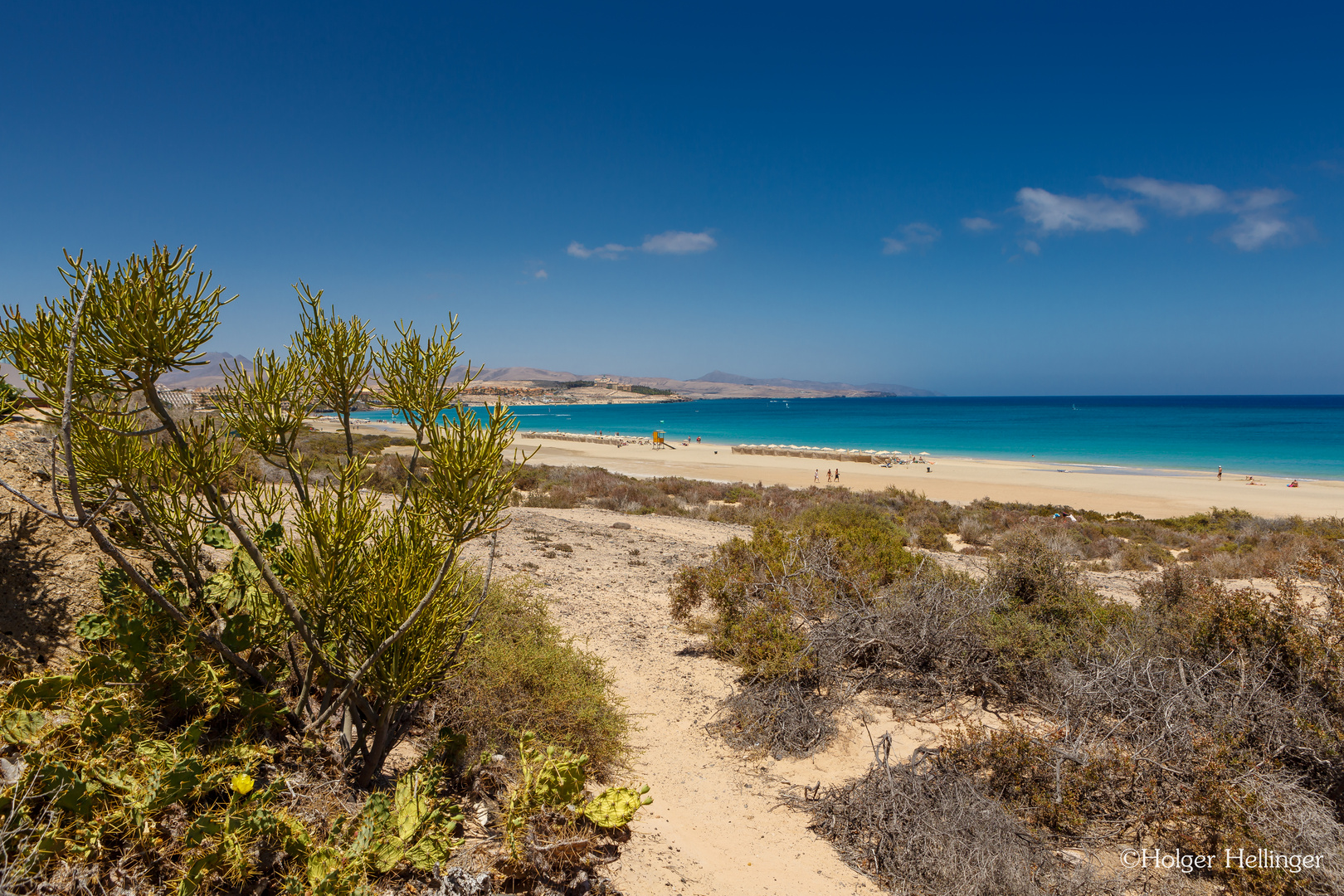  - Fuerteventura 2016-8 - 