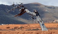 ...Fuerteventura 2019 - "Alone"