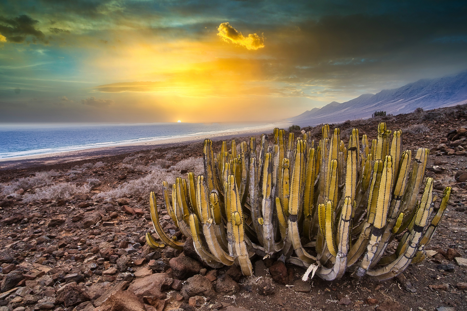 Fuerteventura