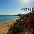 Fuerteventura