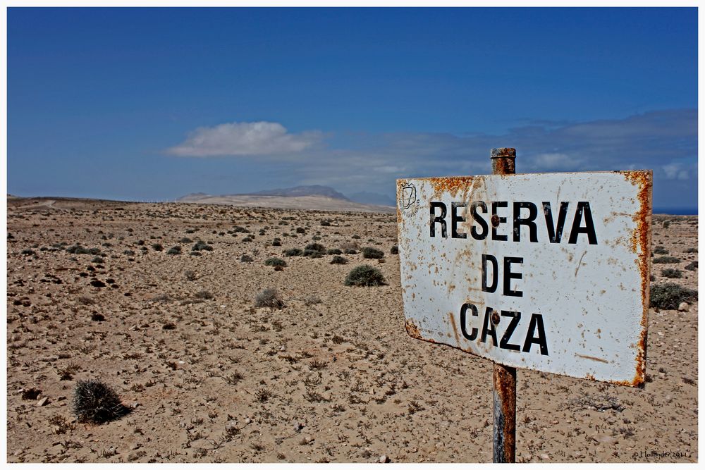 Fuerteventura