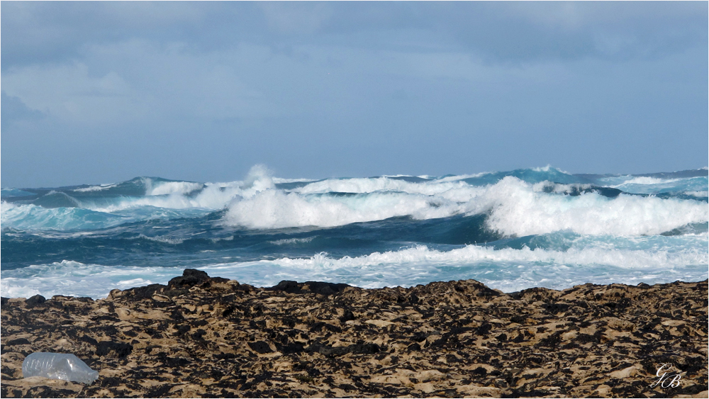 Fuerteventura