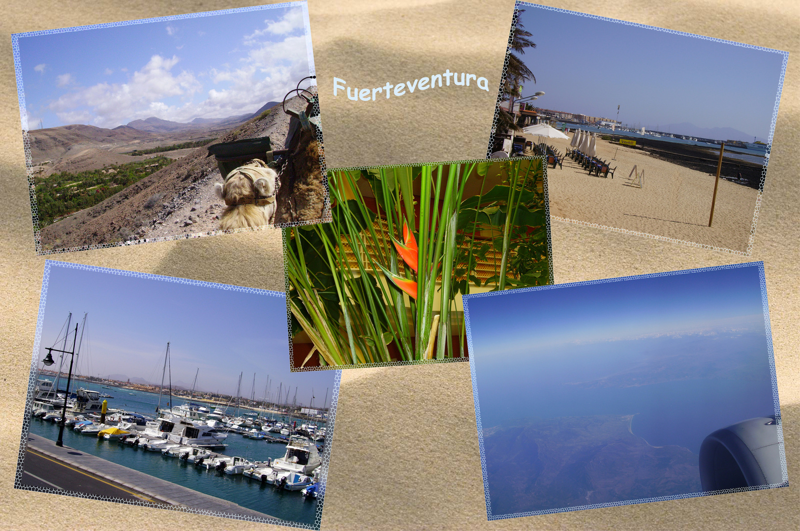 Fuerteventura