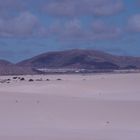 Fuerteventura...