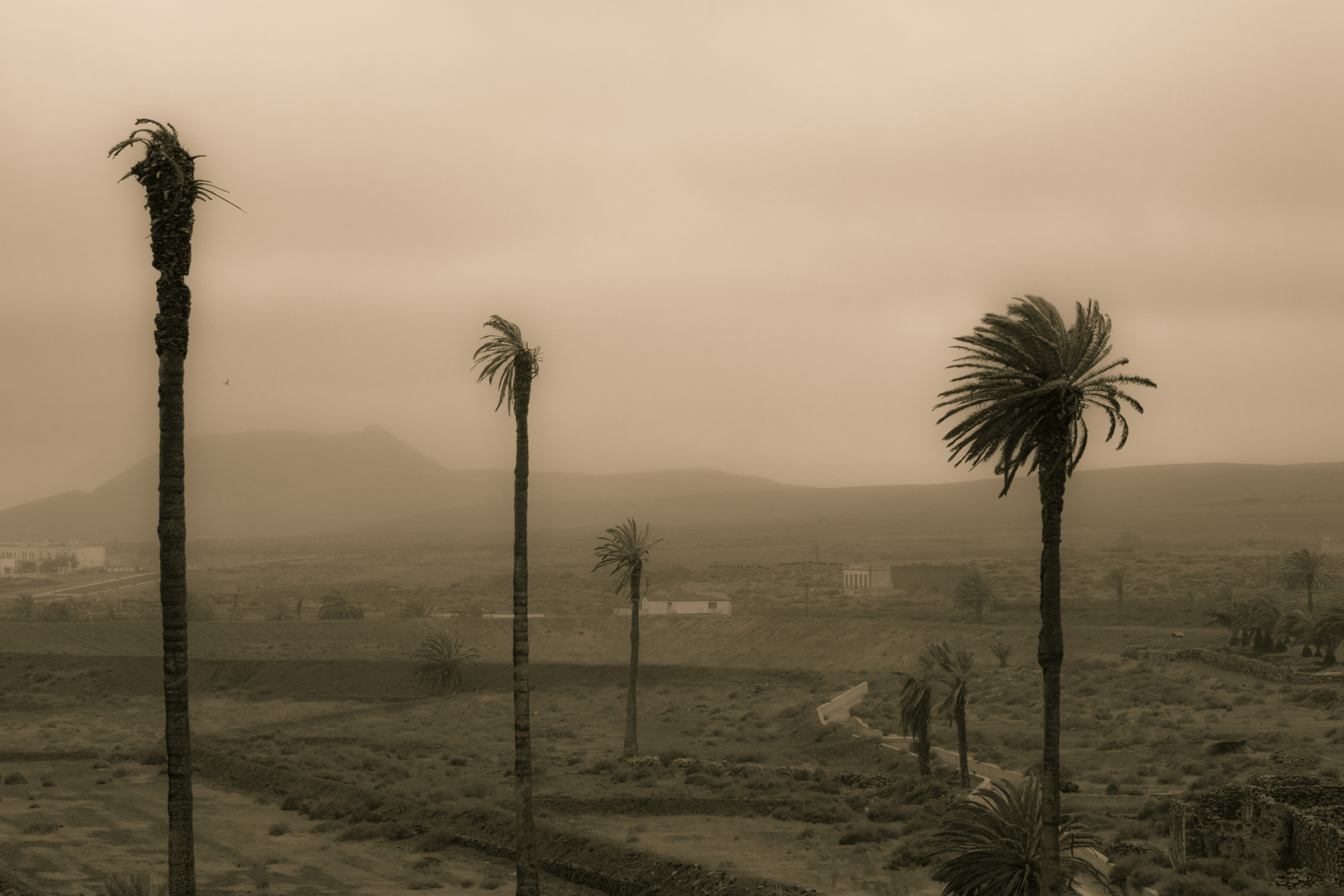 Fuerteventura