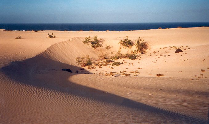 Fuerteventura