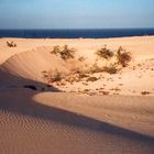 Fuerteventura