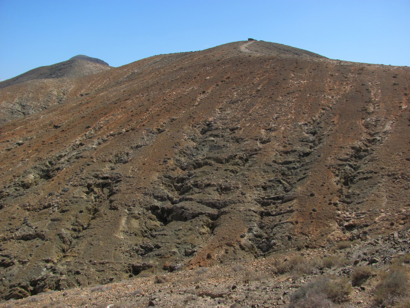 Fuerteventura (8)