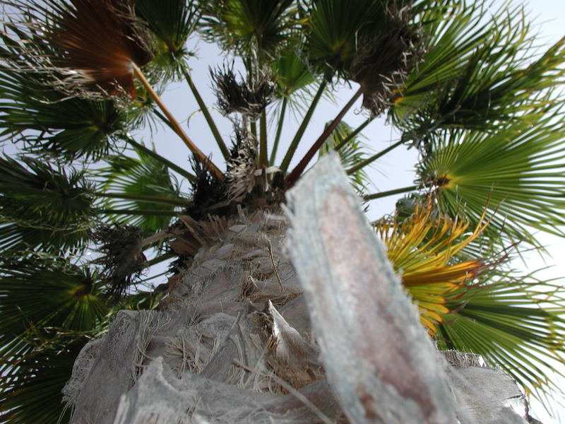 Fuerteventura